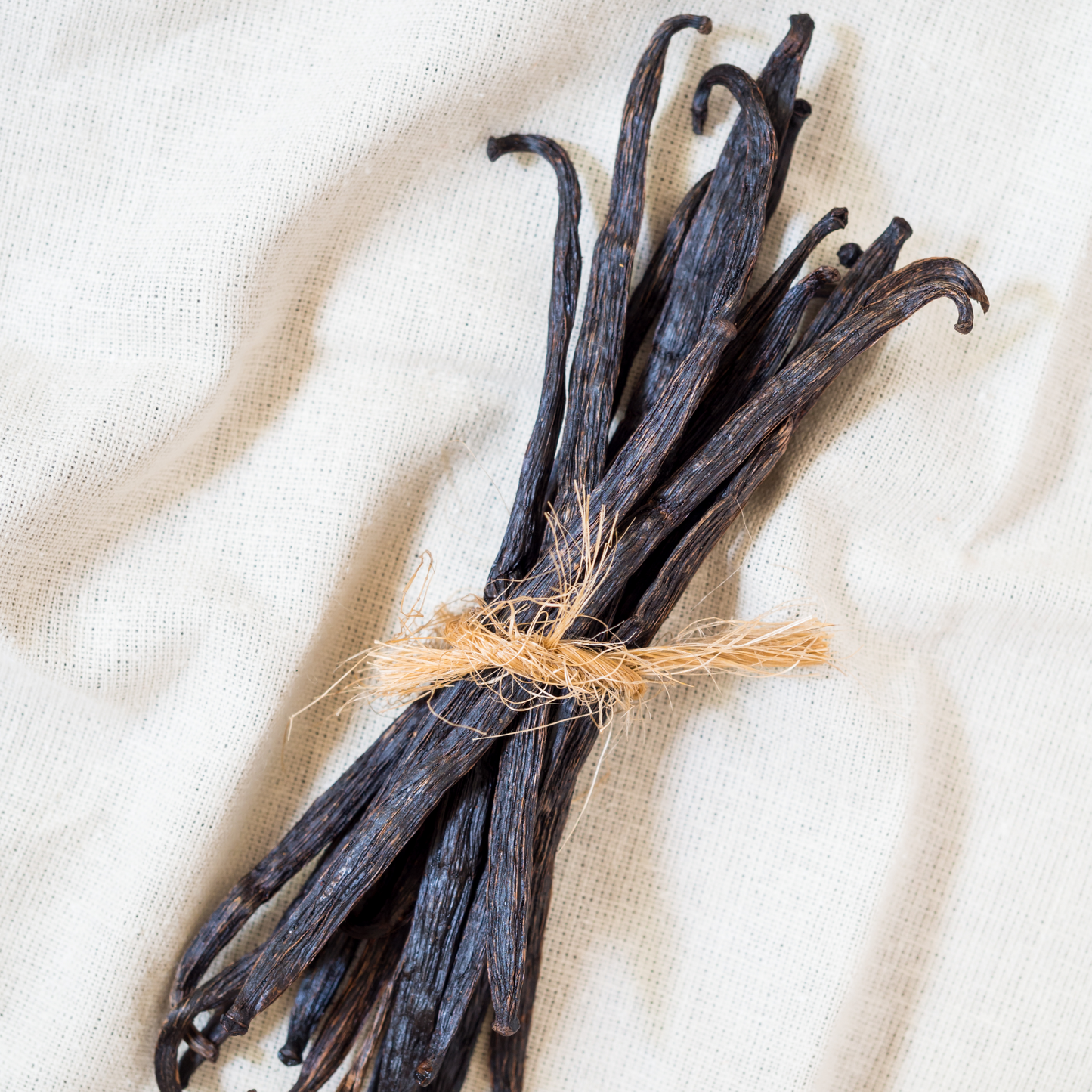Vanilla Bean Lip Balm